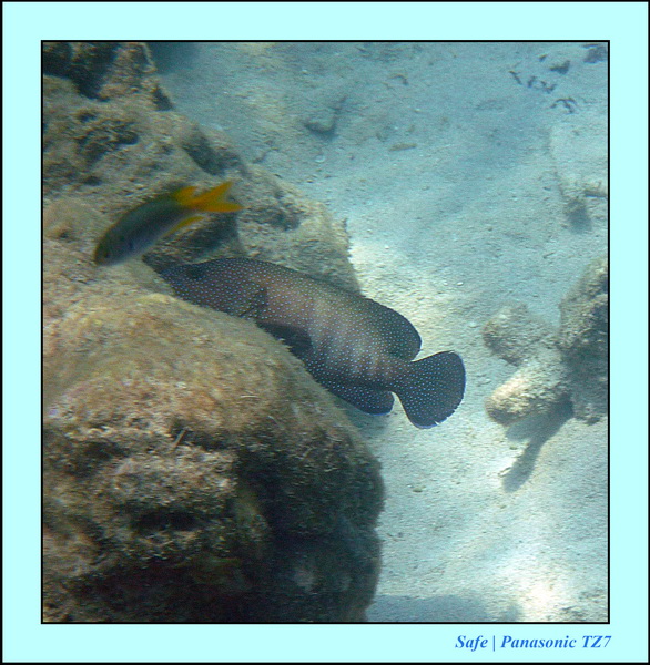 2011 - 03 - Koh Ngai 101